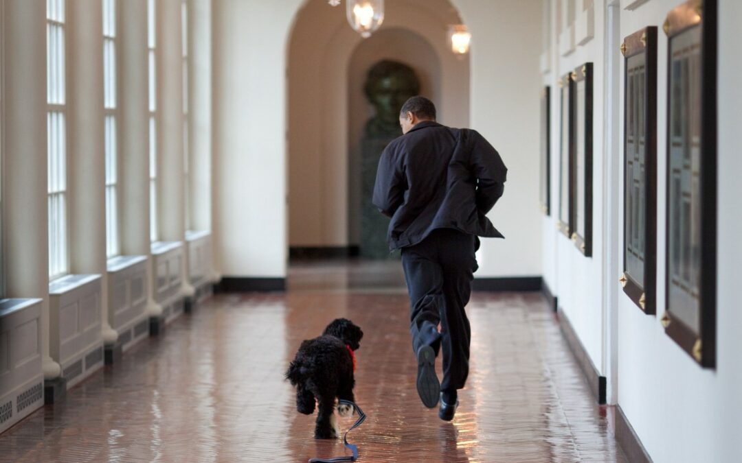 Five Photography Tips from Pete Souza