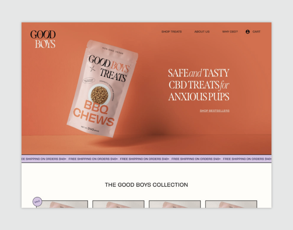 What are Marketing Materials? + 15 Effective Examples The Noun