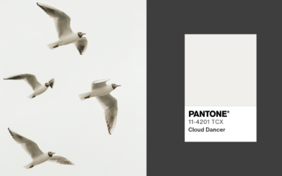 Introducing Pantone’s Color of the Year 2026: Cloud Dancer